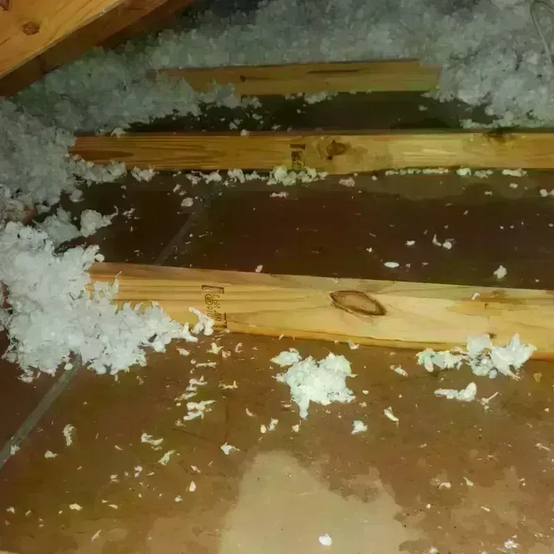 Attic Water Damage in Greeley County, NE