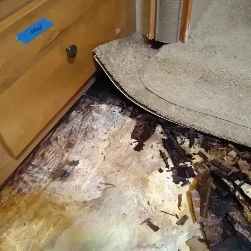 Wood Floor Water Damage in Greeley County, NE